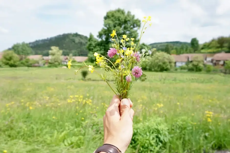 Peisaj transilvănean — vedere panoramică
